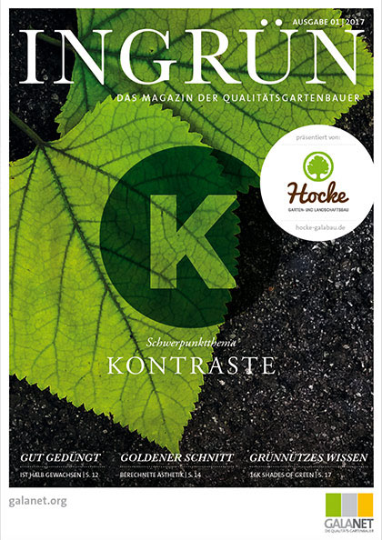 INGRÜN 01/2017