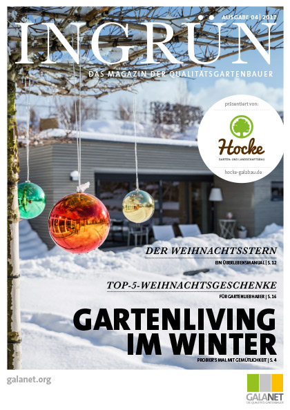 INGRÜN 04/2017
