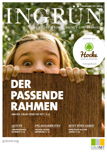 INGRÜN 03/2018