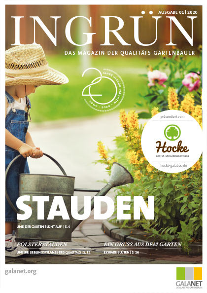 INGRÜN 01/2020