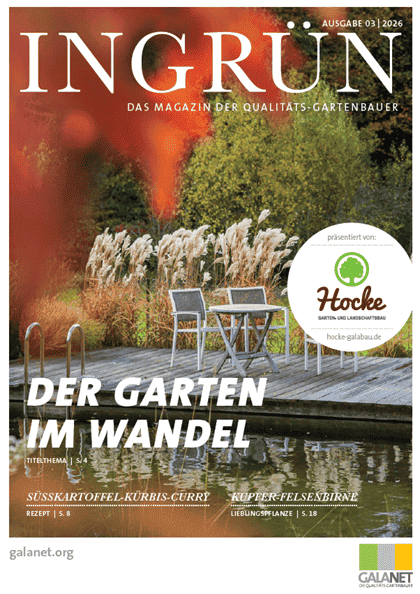 INGRÜN 03/2026